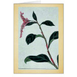 Ai (Indigo) Ukiyo-e. Card