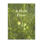 Ai Post Cards