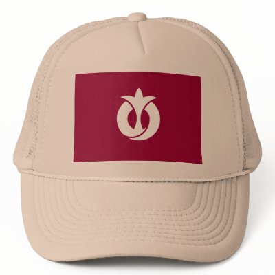 Aichi Prefecture, Japan Hat by bestflag