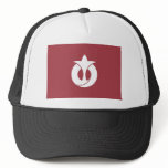 Aichi Prefecture, Japan Mesh Hat