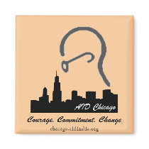 AID Chicago magnets