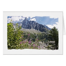 Aiguille Verte de Montenvers, Chamonix Tarjeton
