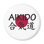Aikido Japanese Martial Art Fridge Magnets