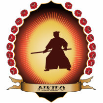 Aikido Mandorla photo sculptures