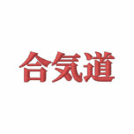 Aikido Shirt