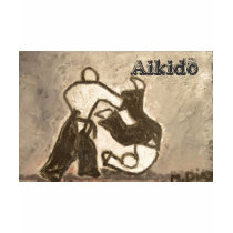 Aikido t-shirts by MDiazart Aikido t-shirts