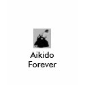 Aikido Women's T Shirt by aikiway Aikido Women's T Shirt
