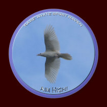 "AIM HIGH" (Spirit Raven) Magnet by RavenSpiritPrints "AIM HIGH" (Spirit Raven) Magnet