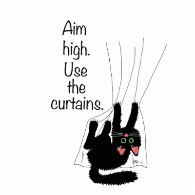 Aim High. Use the Curtains. Photo Sculpture by cat_breeds_info