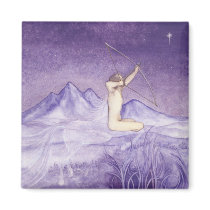 Aiming for the Truth - Sagittarius magnets