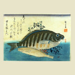 Ainame & Shima-hata from A Shoal of Fishes