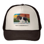 Ain't Misbehavin'! Mesh Cap Mesh Hats