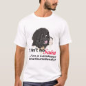 Aint No Saint t-shirts