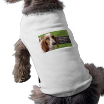 Ain't nothing wrong with being a plus size dog pet clothing