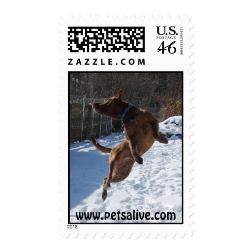 Air Cam of Pets Alive Stamp
