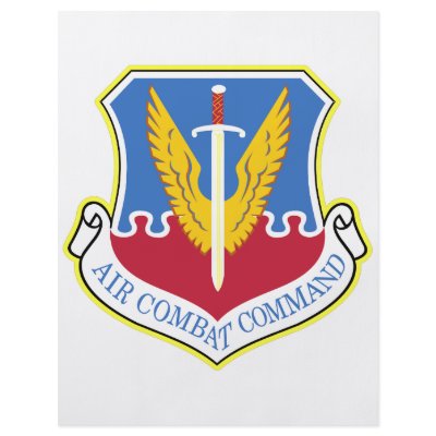 Air Combat Command Personalized Flyer by Mustang_Lady