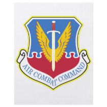 Air Combat Command Personalized Flyer