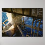 "Air Dive" Print