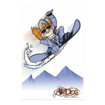 AIR DOG posters