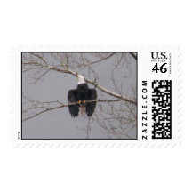 Air Dry Eagle 42 Postage Stamps