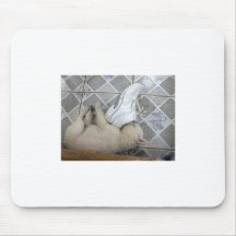 Air Freshener Mousepads