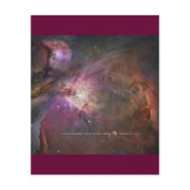 Air Mail, Zazzle Flyer