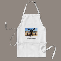 Air Racer, Air Racer aprons