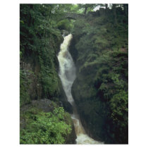 Aira Force, Lake District, England Full Color Flyer
