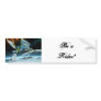 Airbrush Riders Card by AirbrushFan Bumper Stickers