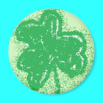 airbrushed shamrock magnets