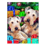 Airedale Christmas Open Now Post Cards