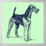 Airedale Dog Poster