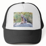 Airedale Mesh Hat