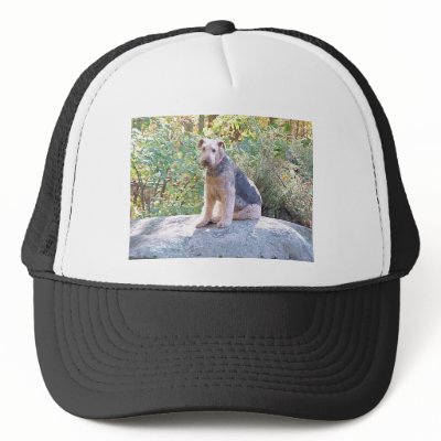 Airedale Mesh Hat by Blanche4