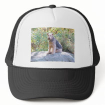 Airedale hats by Blanche4 Airedale hats