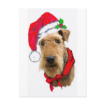 Airedale In Santa Hat Postcard