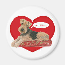 Airedale, Lakeland, Welsh Terrier Magnets
