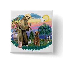 Airedale (looking up) buttons