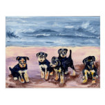 Airedale Puppies Postcard