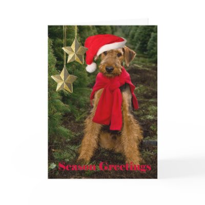 Airedale Season Greetings Cards by friskybiz