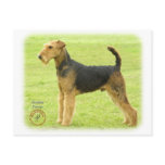 Airedale Terrier 8T092D-16 Post Cards