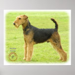 Airedale Terrier 8T092D-16 Poster