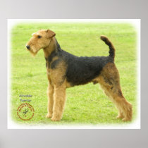 Airedale Terrier 8T092D-16 Poster