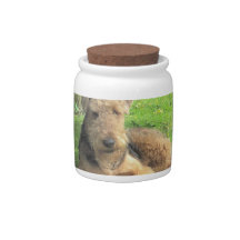 Airedale Terrier  Candy Jar