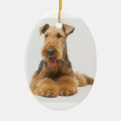 airedale terrier christmas ornament zazzle airedale terrier christmas ornament zazzle