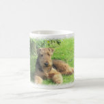 Airedale Terrier Coffee Mug mugs