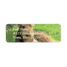 Airedale Terrier Dog Return Address Label
