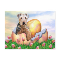 Airedale Terrier Easter Surprise Postcards