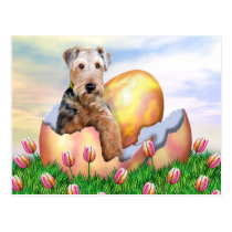 Airedale Terrier Easter Surprise postcards