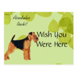 Airedale Terrier ~ Green Leaves Design Post Card